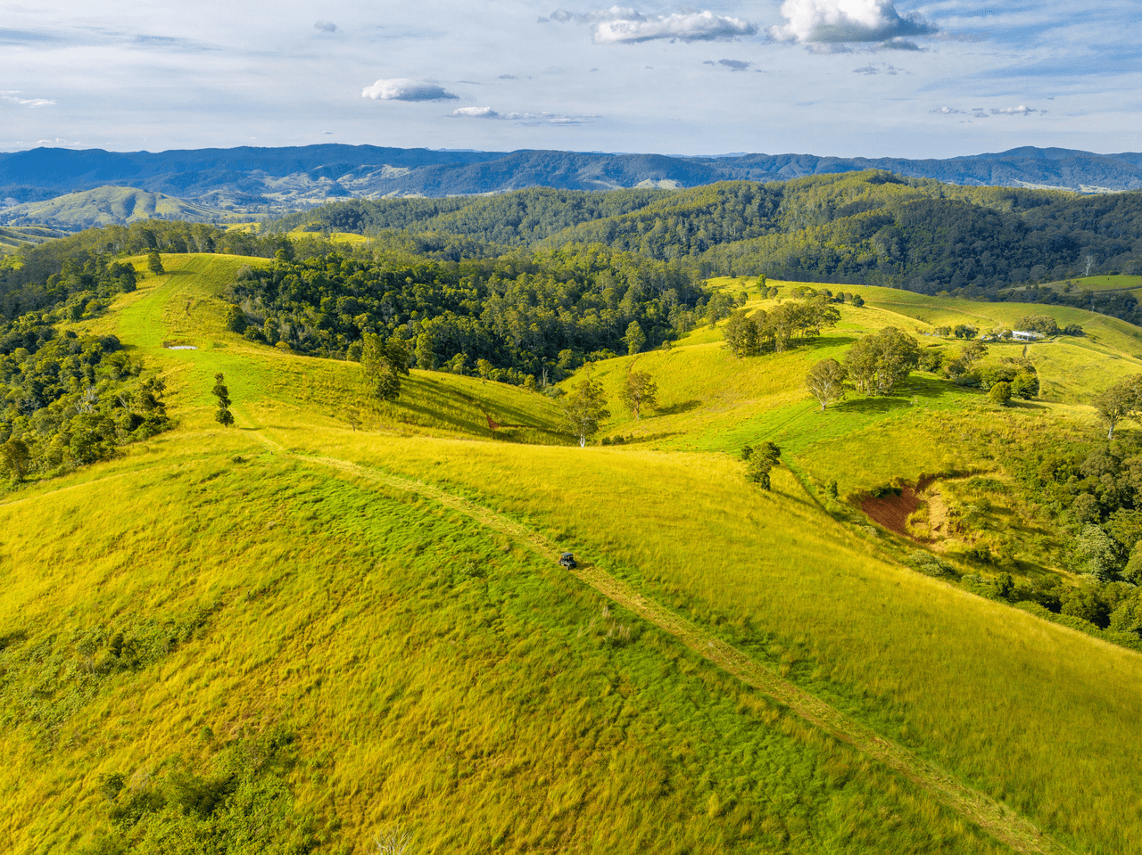 200 Days Road, TIPPERARY, NSW 2429