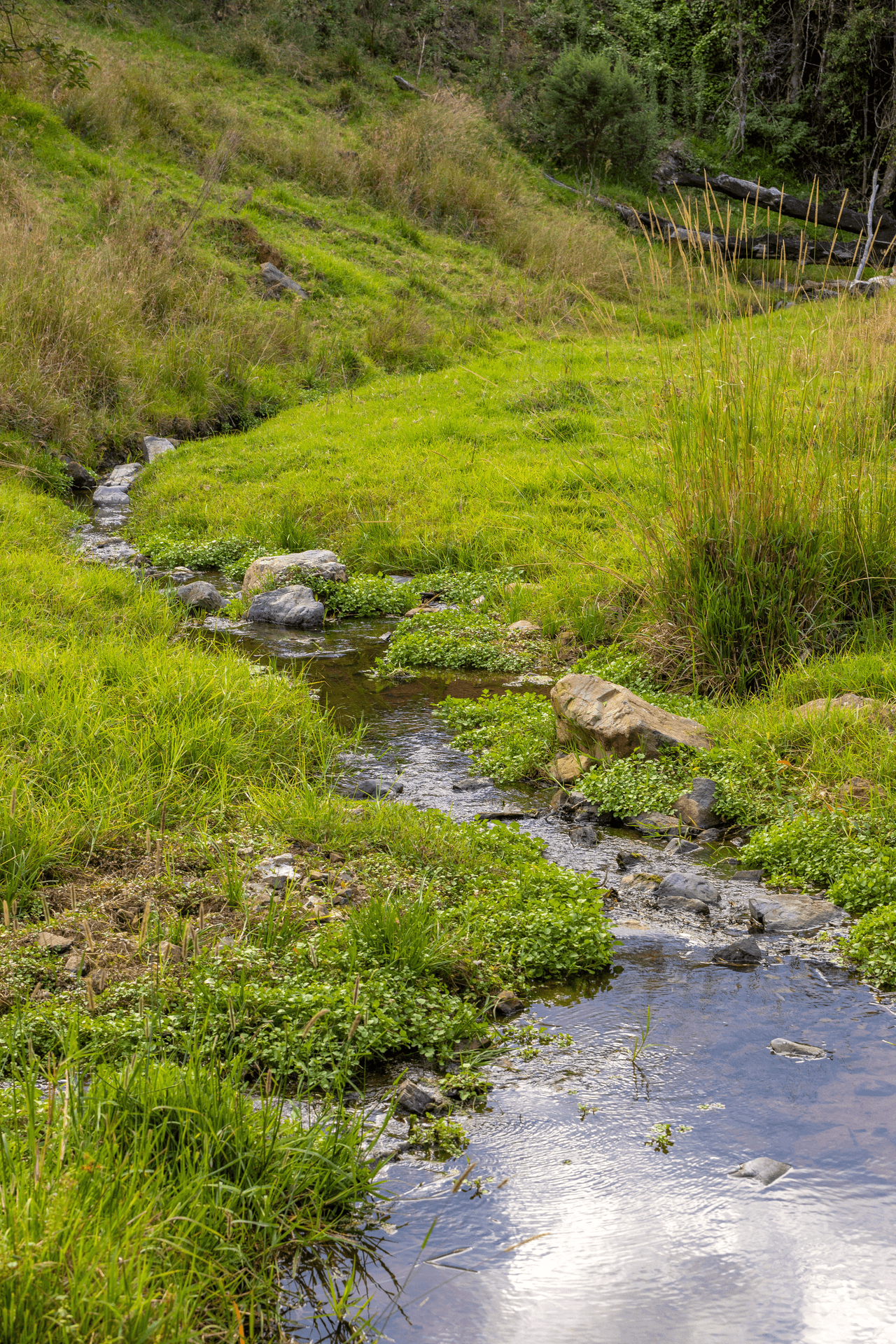 200 Days Road, TIPPERARY, NSW 2429