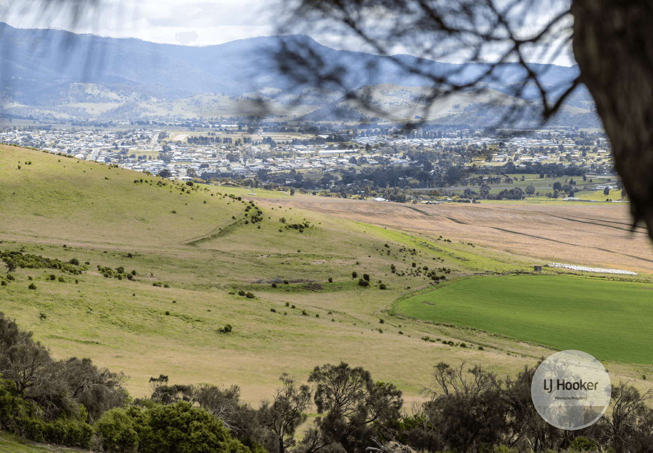 38 Rosewood Lane, TEA TREE, TAS 7017