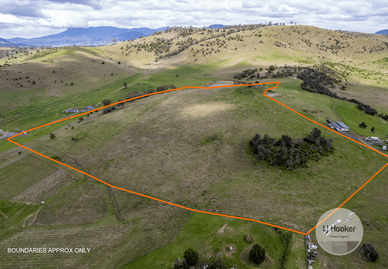 38 Rosewood Lane, TEA TREE, TAS 7017