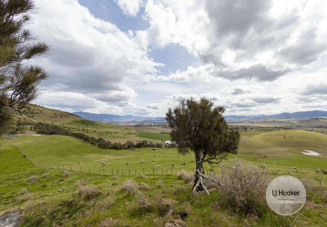 38 Rosewood Lane, TEA TREE, TAS 7017