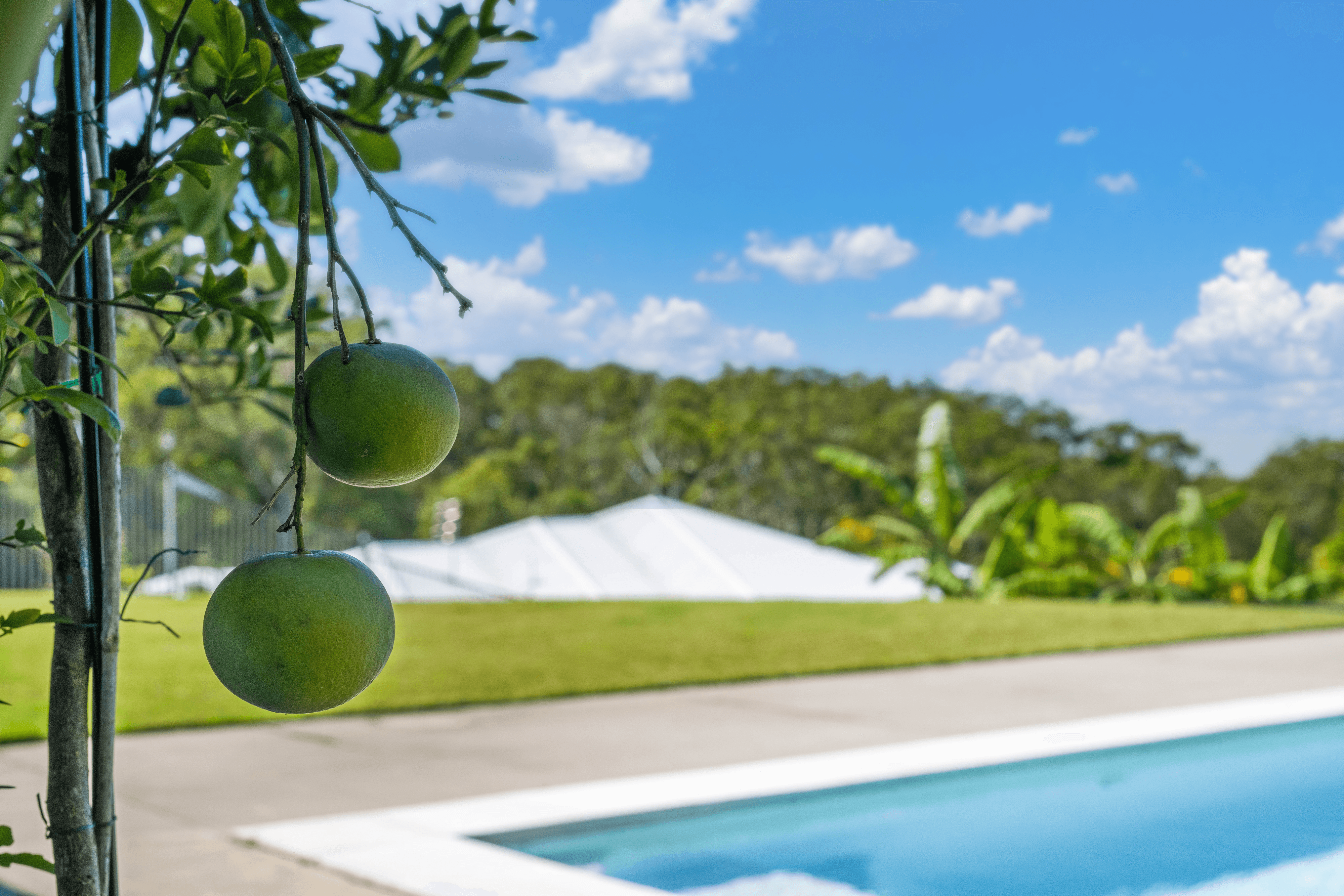 206 Palmview Forest Drive, PALMVIEW, QLD 4553