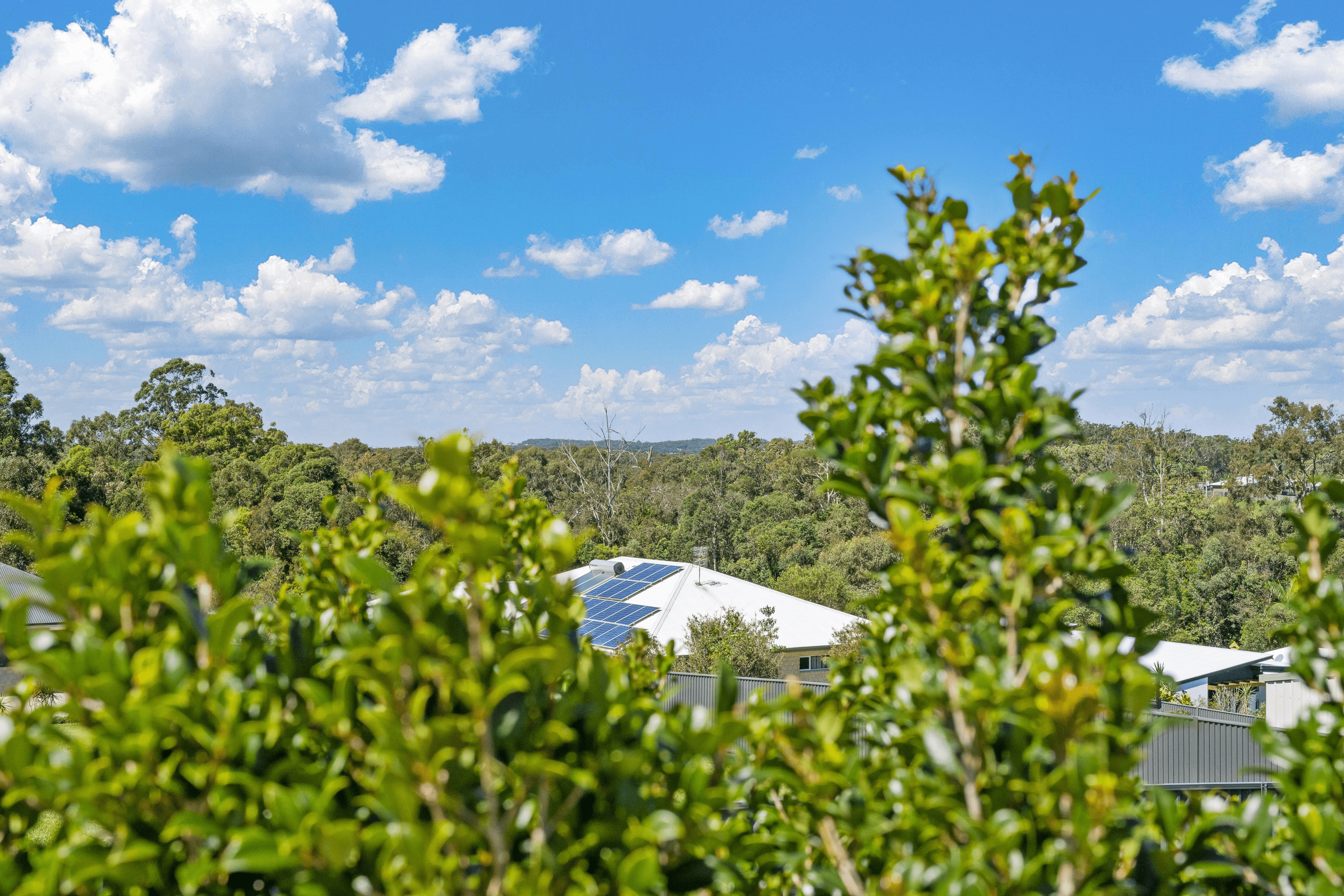 206 Palmview Forest Drive, PALMVIEW, QLD 4553