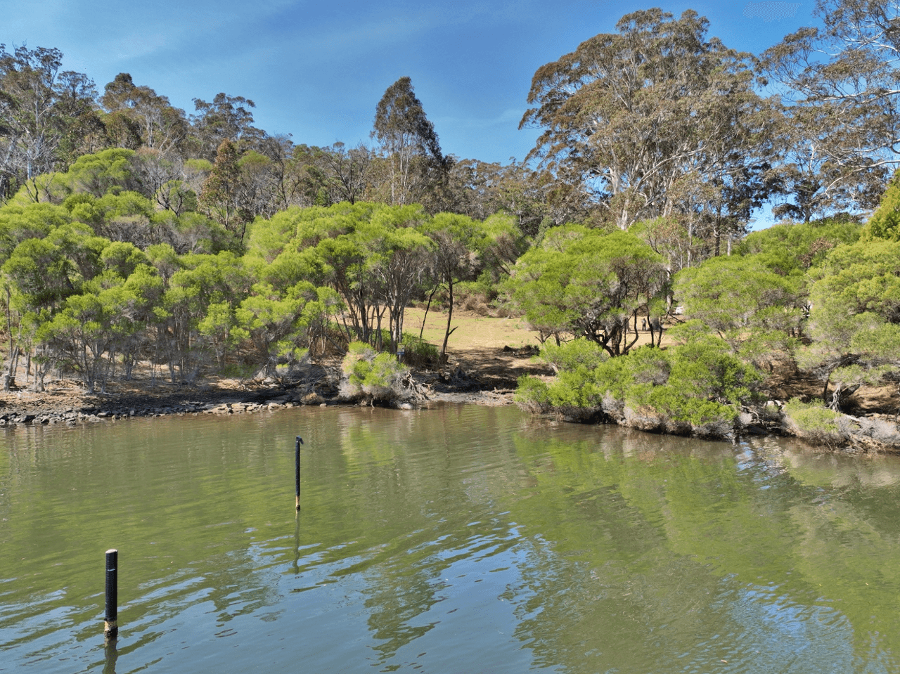 206 Daunceys Road, WONBOYN, NSW 2551