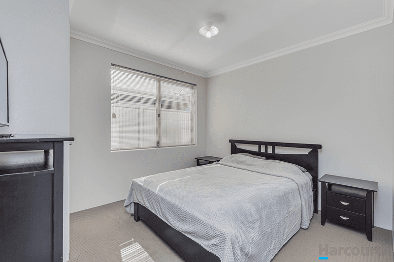 16 Needletail Avenue, ALKIMOS, WA 6038