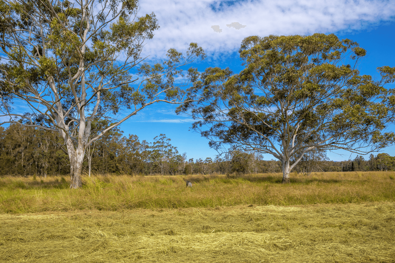 107 Minimbah West Branch Road, MINIMBAH, NSW 2312