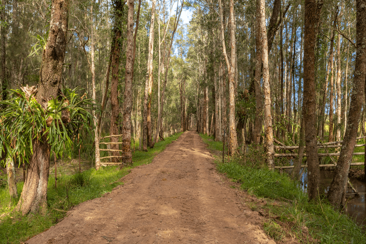 107 Minimbah West Branch Road, MINIMBAH, NSW 2312