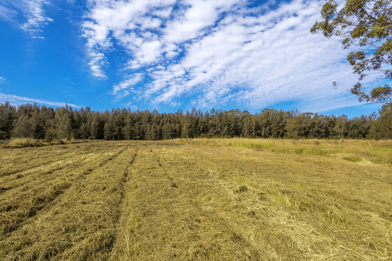 107 Minimbah West Branch Road, MINIMBAH, NSW 2312