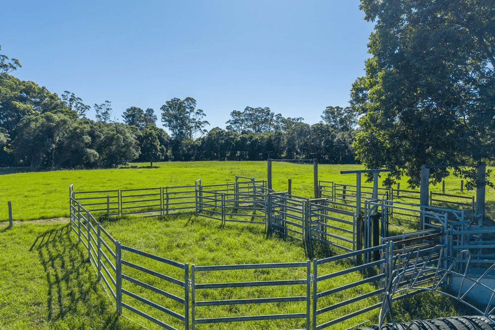 42 Bunderra Drive, BEECHWOOD, NSW 2446