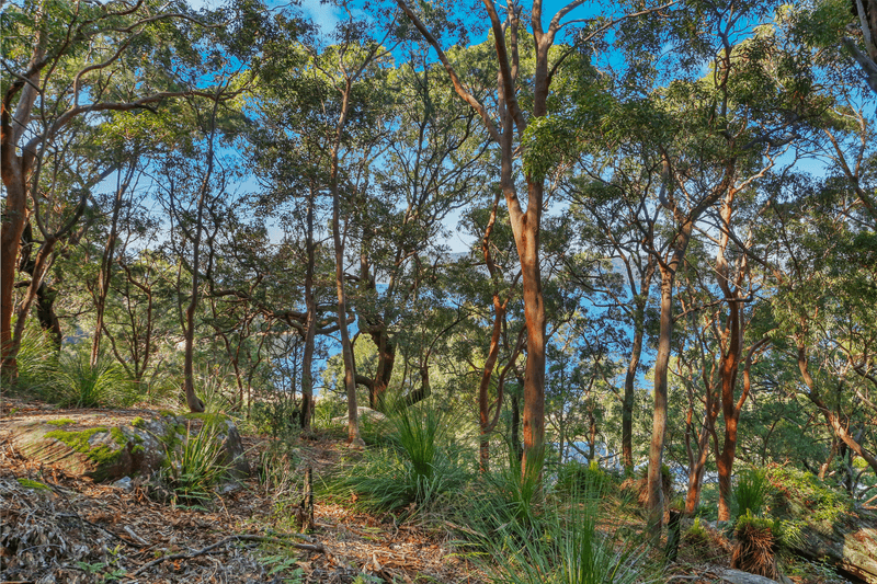 41 & 43 Patonga Drive, Patonga, NSW 2256