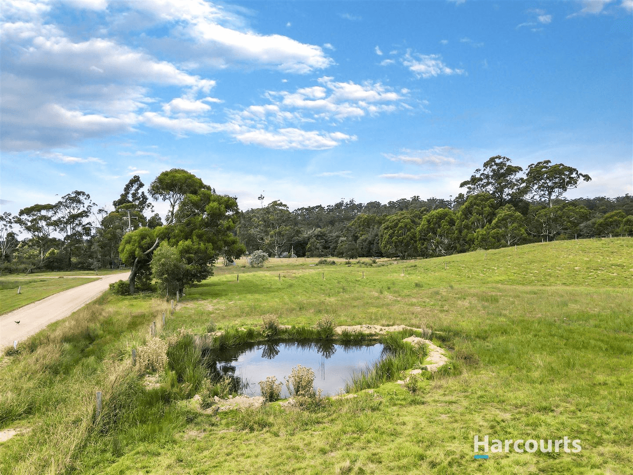 265A Medeas Cove Road, St Helens, TAS 7216