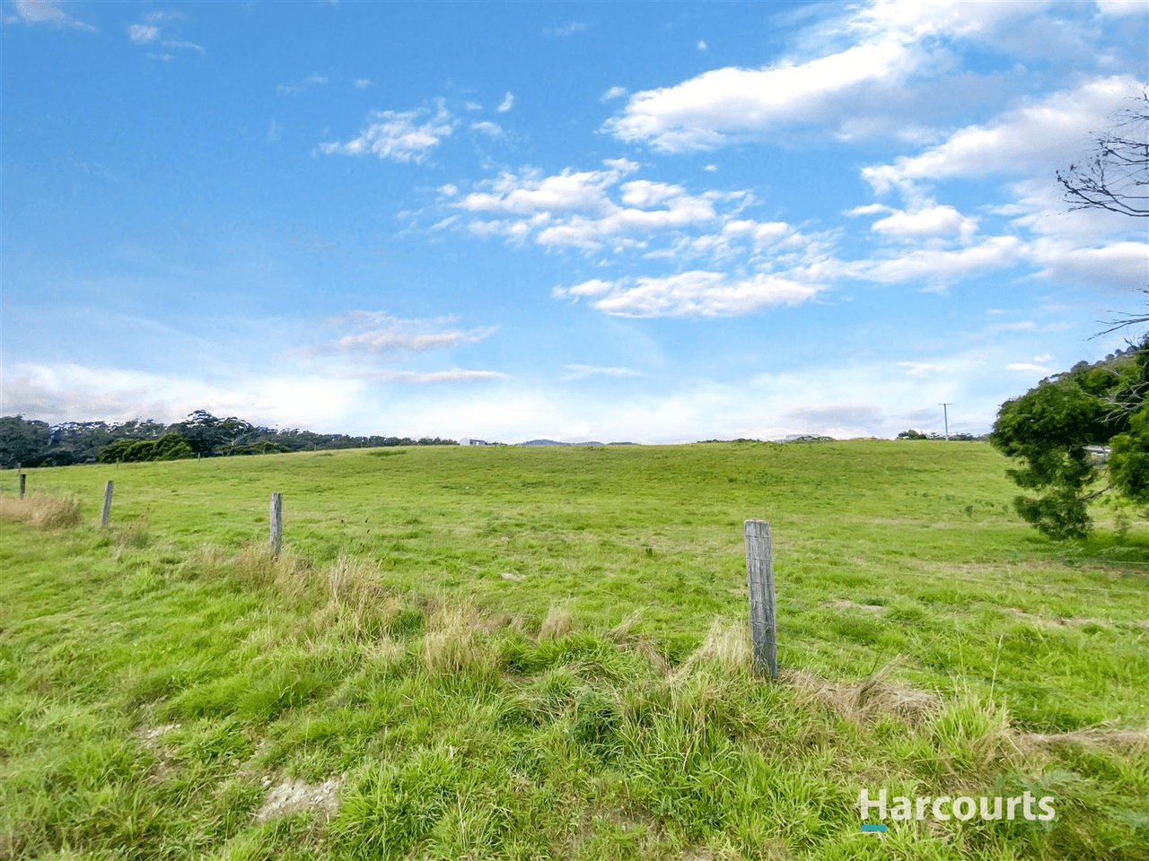 265A Medeas Cove Road, St Helens, TAS 7216