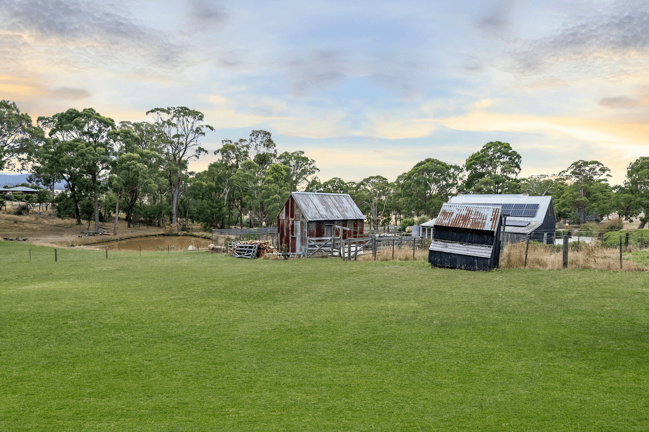 Amaroo Farm, 75 Caledonia Drive, RELBIA, TAS 7258