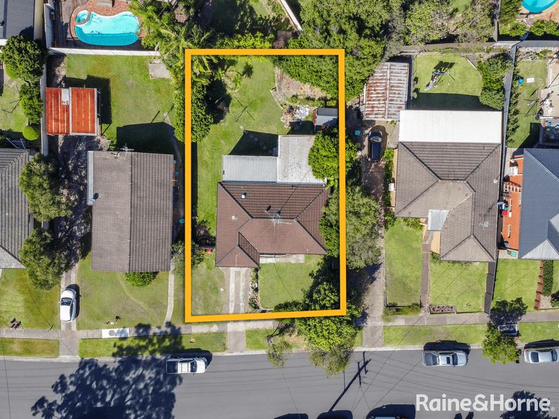 29 Elizabeth Cook Drive, RANKIN PARK, NSW 2287