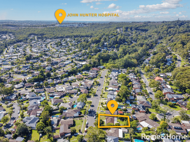 29 Elizabeth Cook Drive, RANKIN PARK, NSW 2287