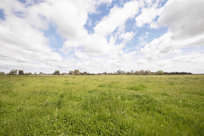 305 Rocky Castle Road, PENOLA, SA 5277