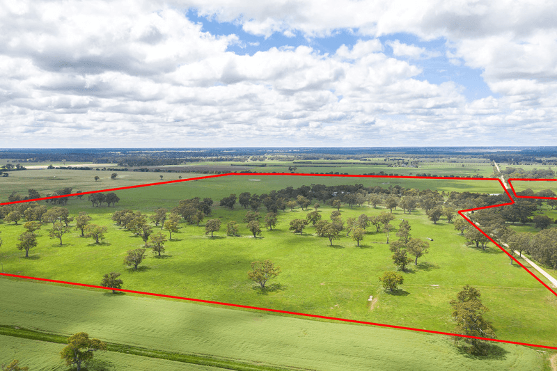 305 Rocky Castle Road, PENOLA, SA 5277