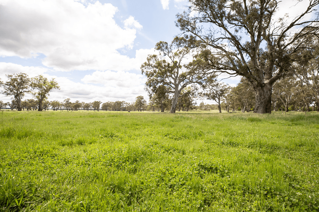 305 Rocky Castle Road, PENOLA, SA 5277