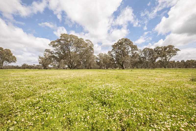 305 Rocky Castle Road, PENOLA, SA 5277