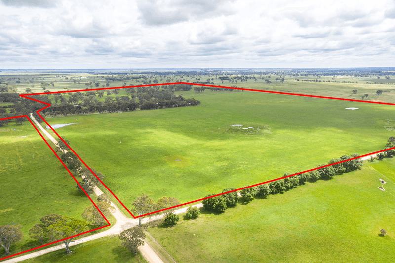 305 Rocky Castle Road, PENOLA, SA 5277