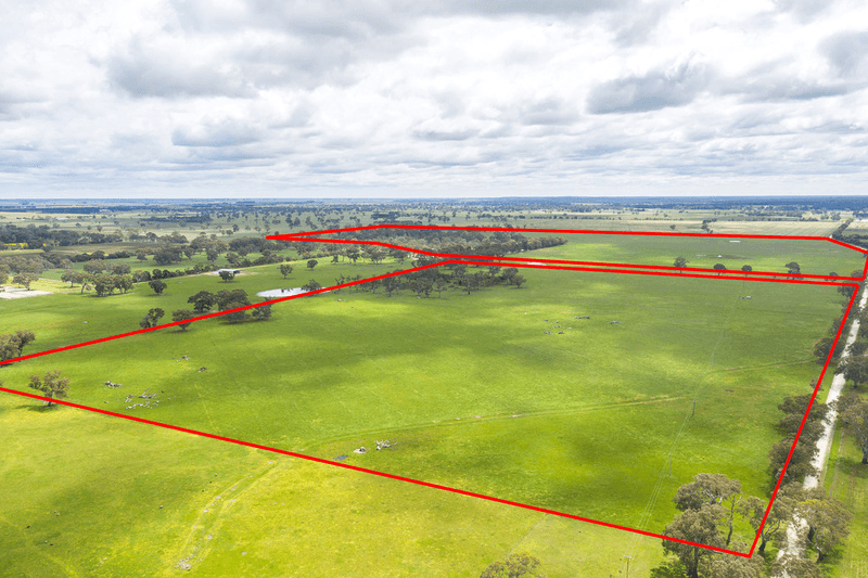 305 Rocky Castle Road, PENOLA, SA 5277