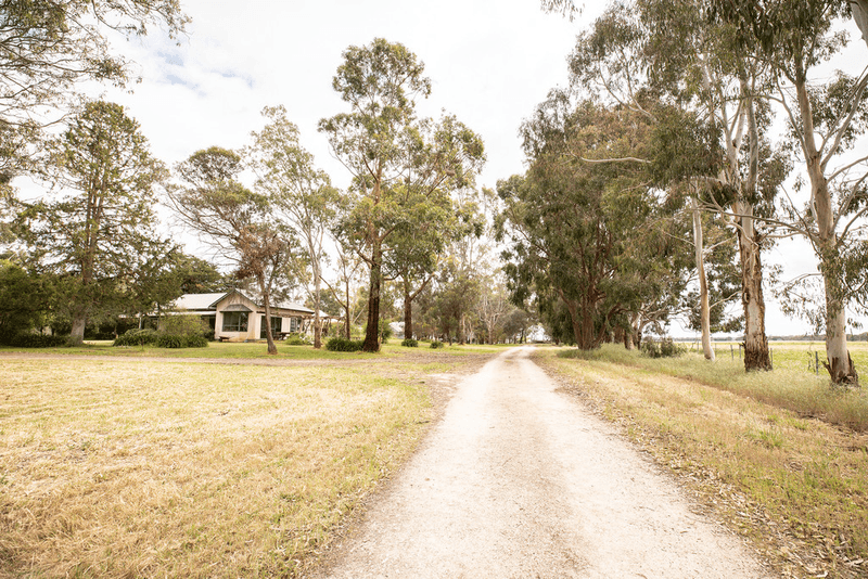 305 Rocky Castle Road, PENOLA, SA 5277