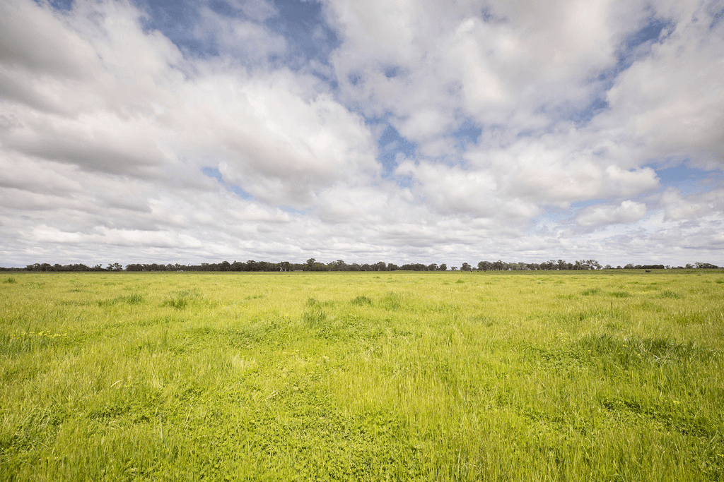 305 Rocky Castle Road, PENOLA, SA 5277