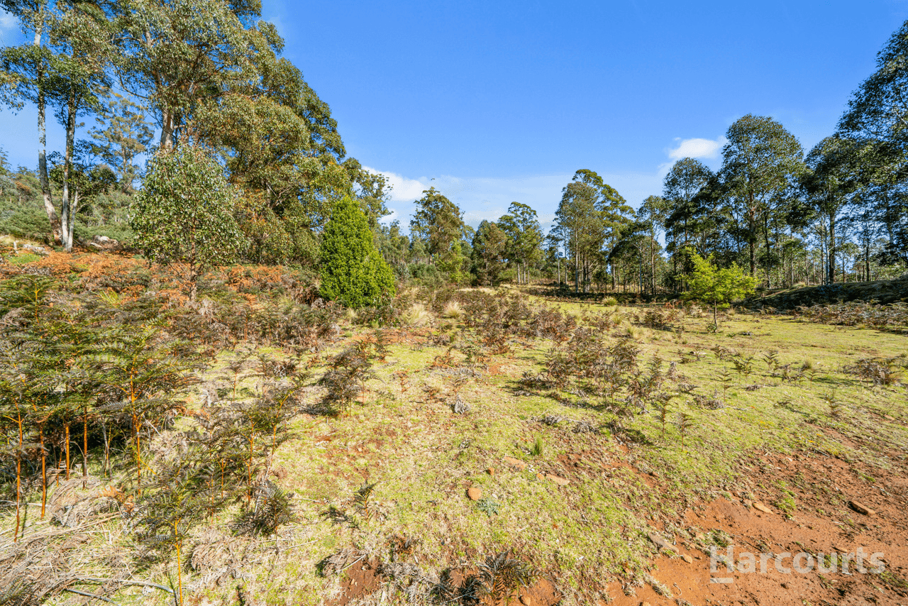 290 Woolridge Road, RHYNDASTON, TAS 7120