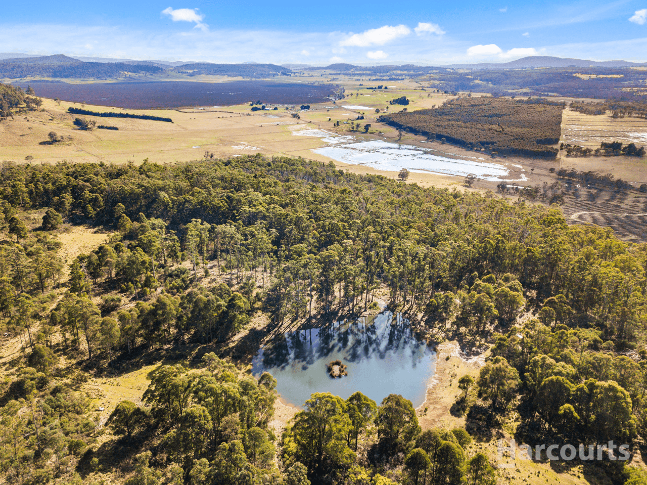 290 Woolridge Road, RHYNDASTON, TAS 7120