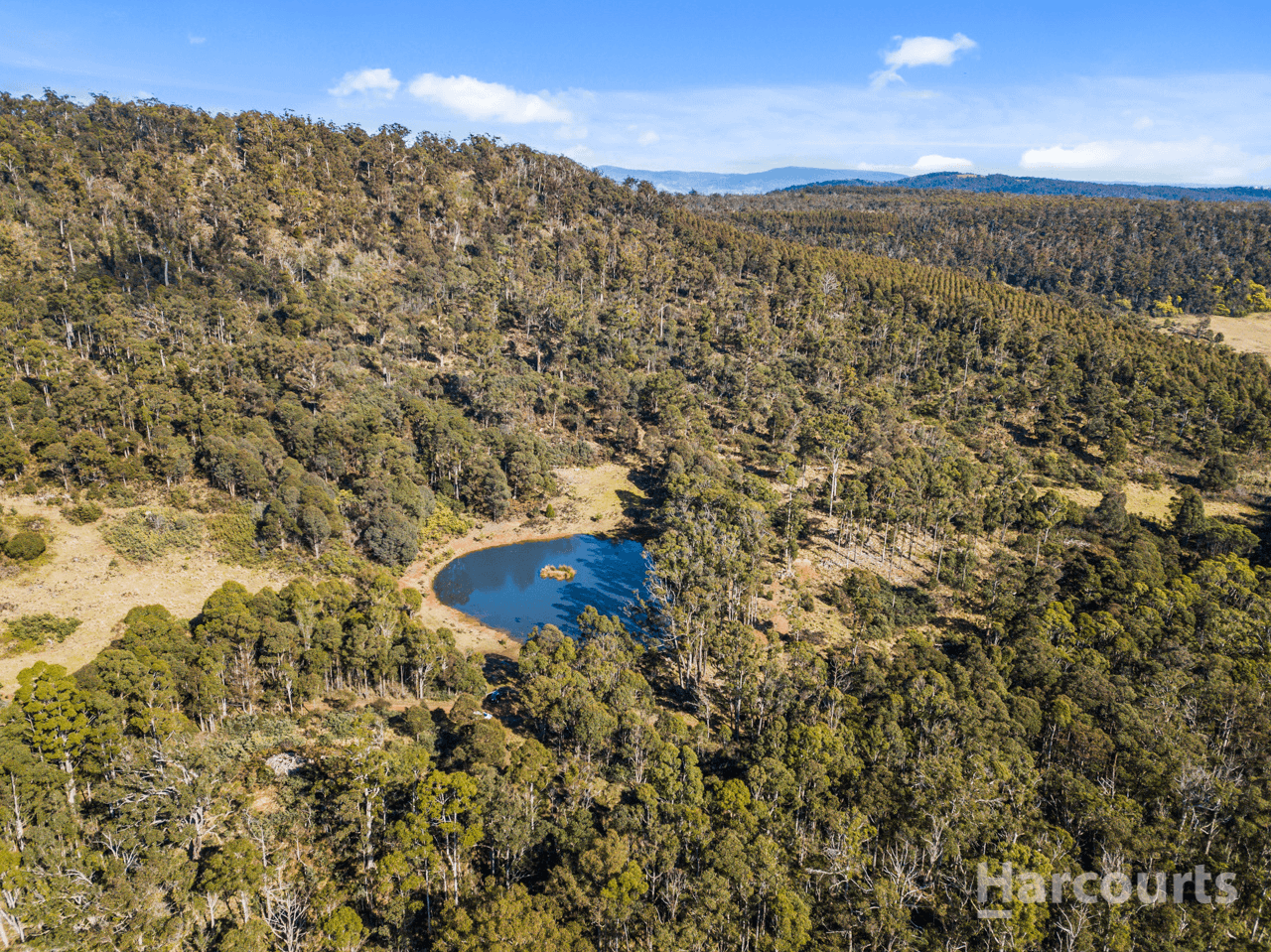 290 Woolridge Road, RHYNDASTON, TAS 7120