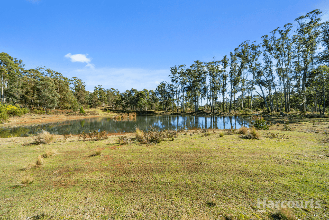 290 Woolridge Road, RHYNDASTON, TAS 7120