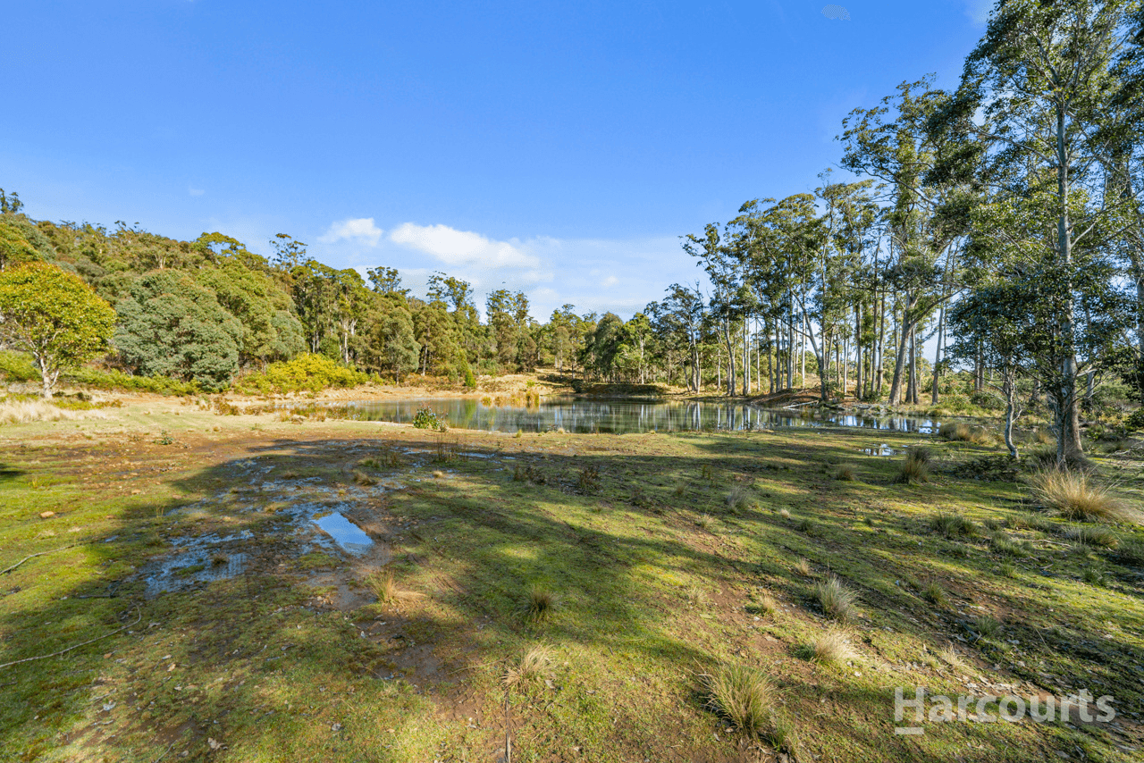 290 Woolridge Road, RHYNDASTON, TAS 7120