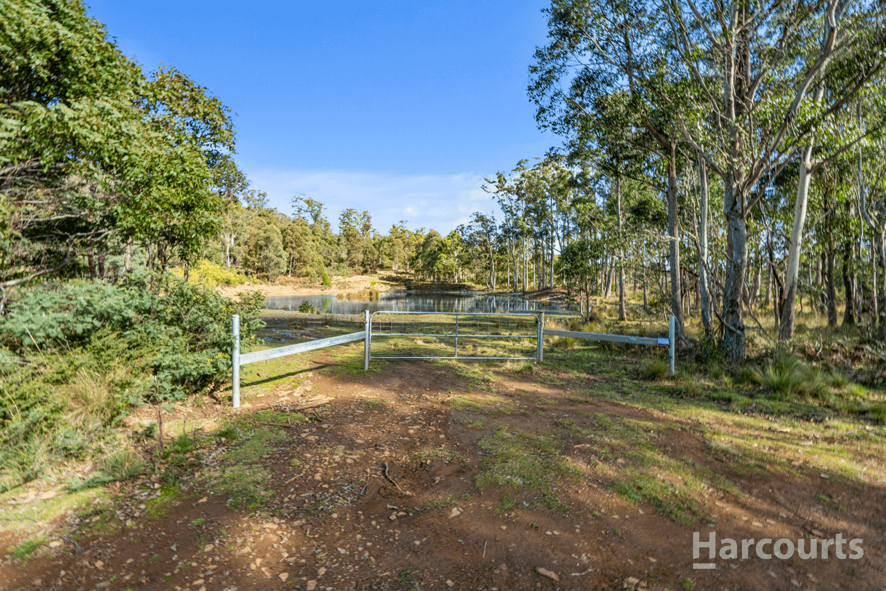 290 Woolridge Road, RHYNDASTON, TAS 7120