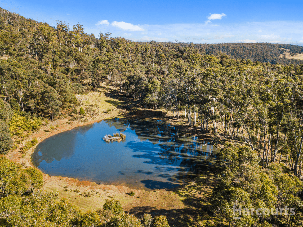 290 Woolridge Road, RHYNDASTON, TAS 7120