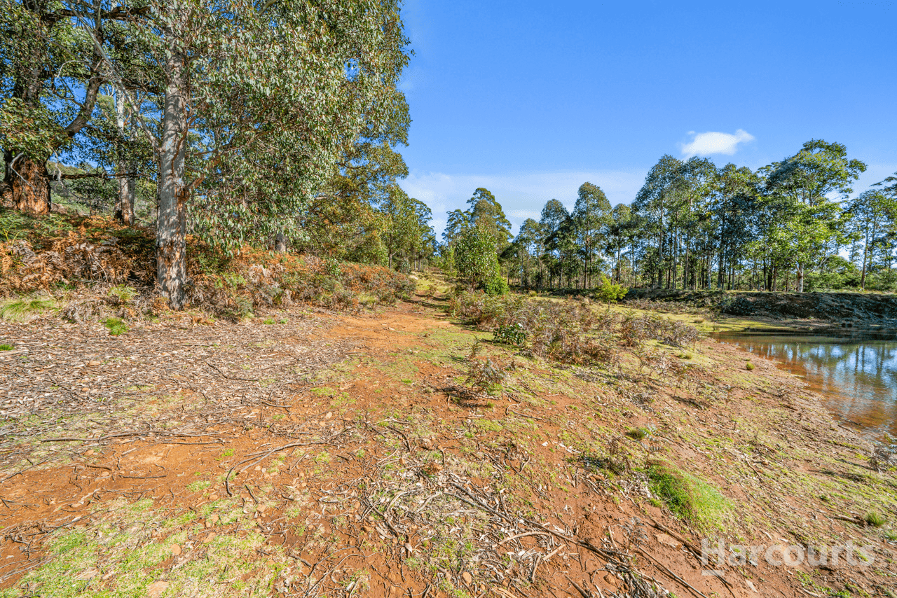 290 Woolridge Road, RHYNDASTON, TAS 7120