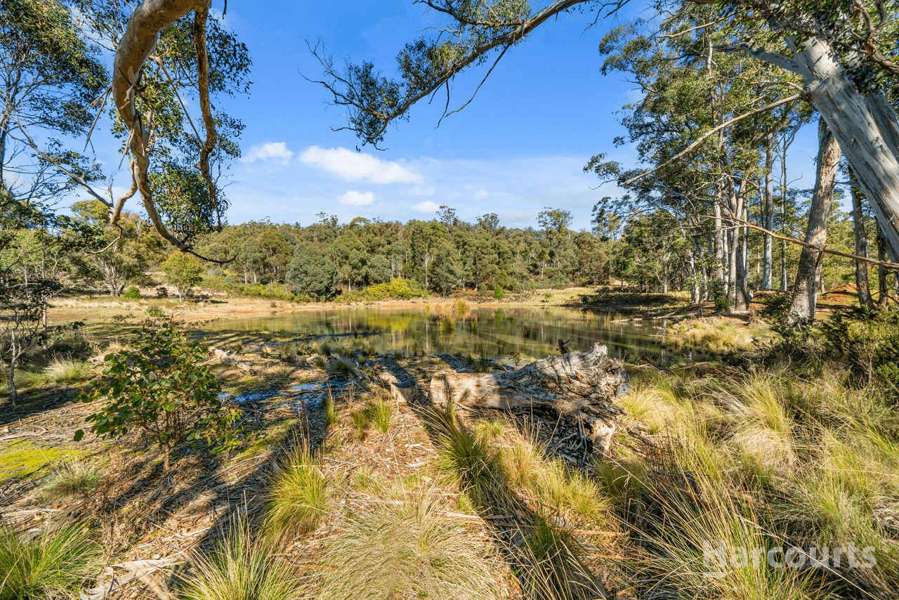 290 Woolridge Road, RHYNDASTON, TAS 7120