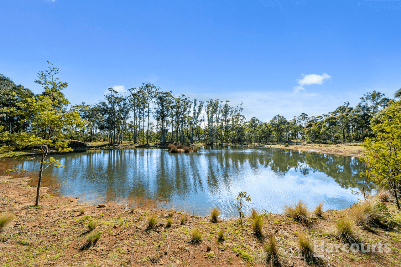 290 Woolridge Road, RHYNDASTON, TAS 7120