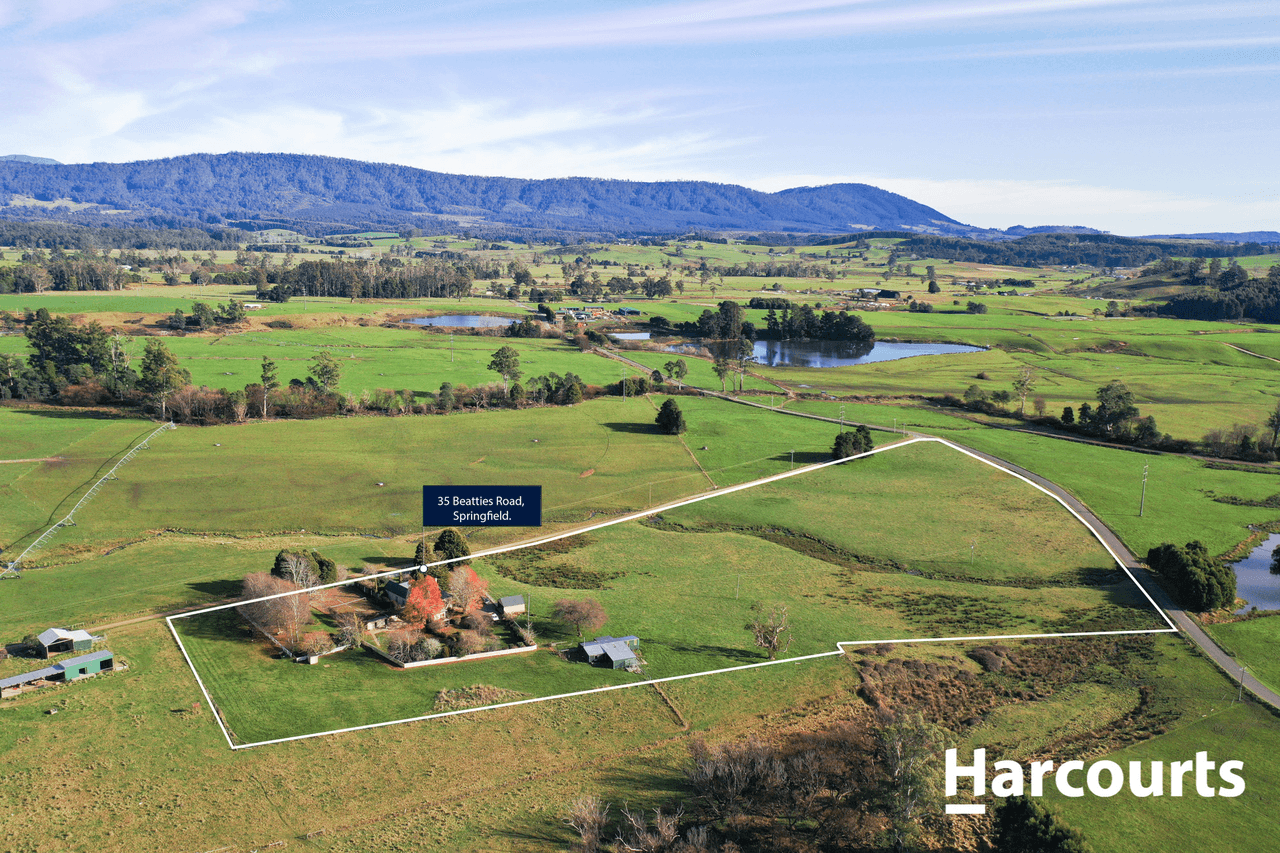 35 Beatties Road, SPRINGFIELD, TAS 7260