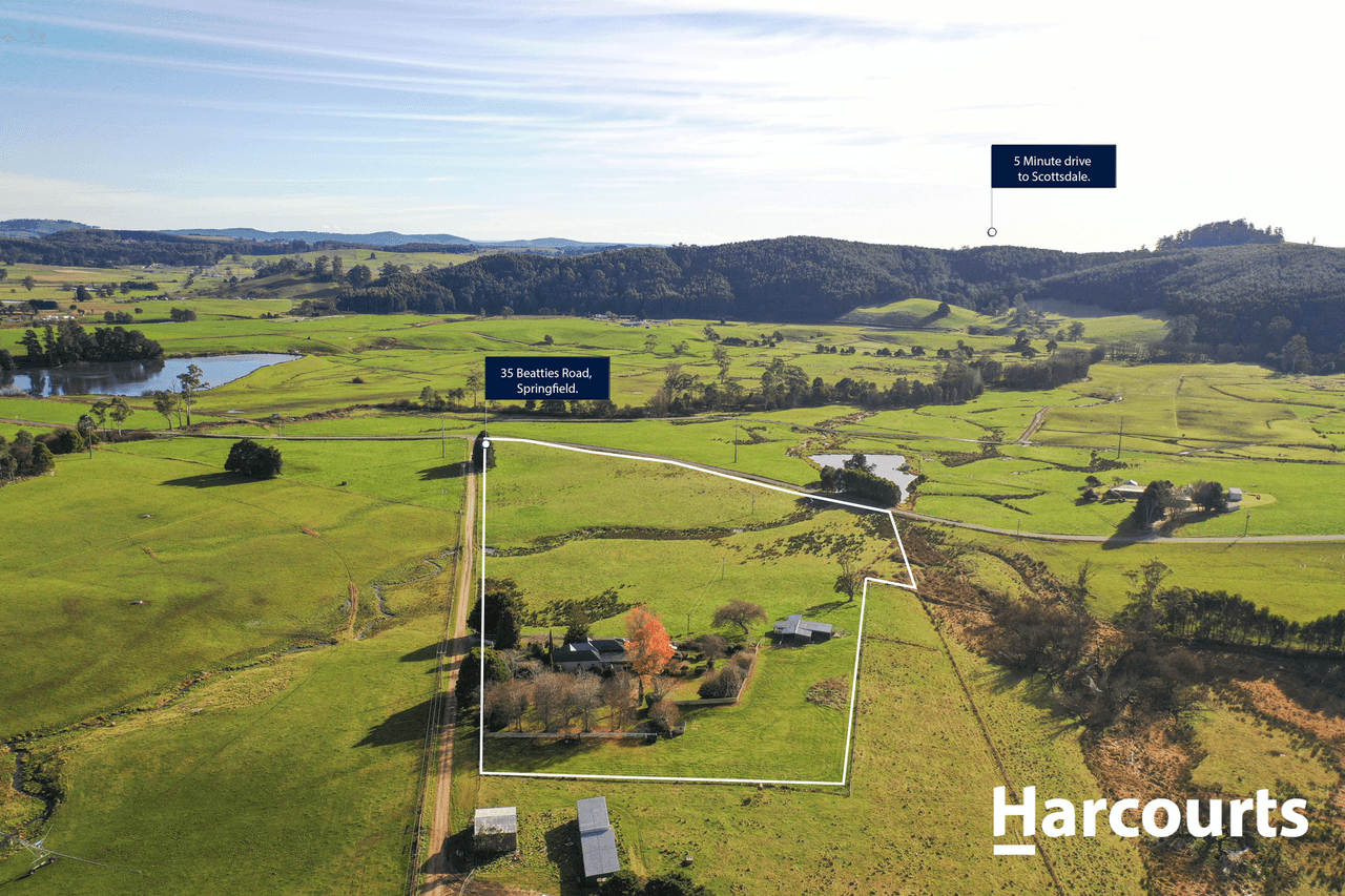 35 Beatties Road, SPRINGFIELD, TAS 7260