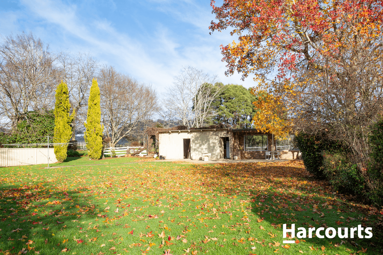 35 Beatties Road, SPRINGFIELD, TAS 7260