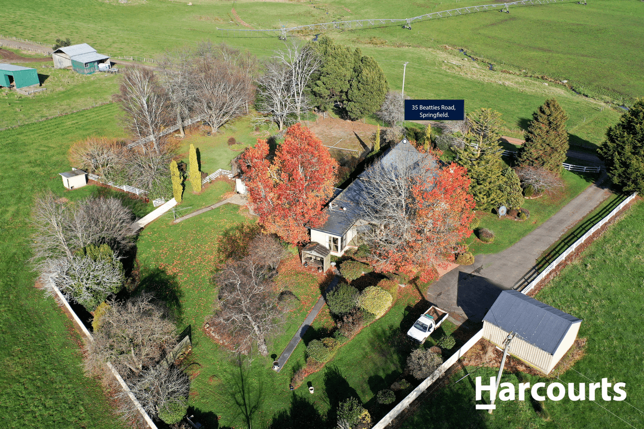 35 Beatties Road, SPRINGFIELD, TAS 7260