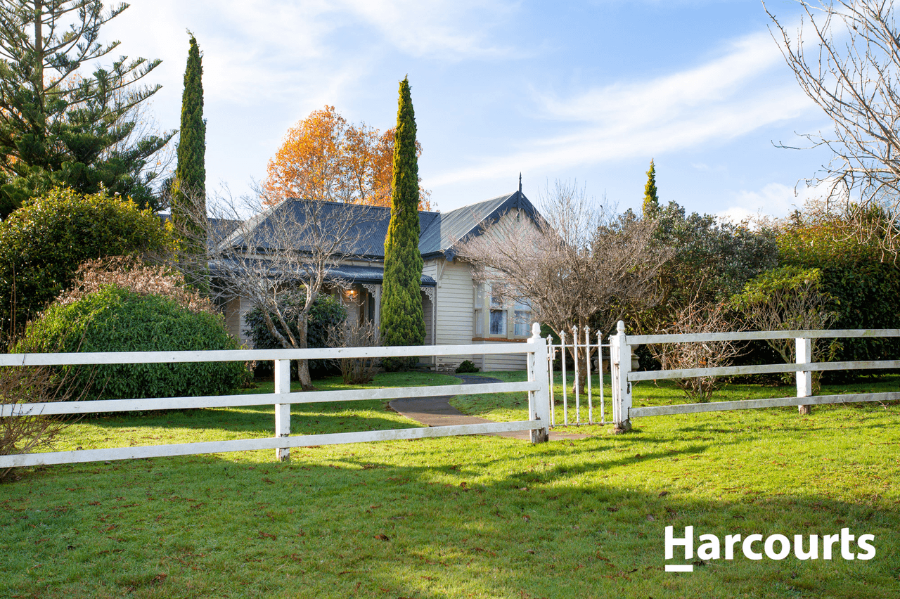 35 Beatties Road, SPRINGFIELD, TAS 7260