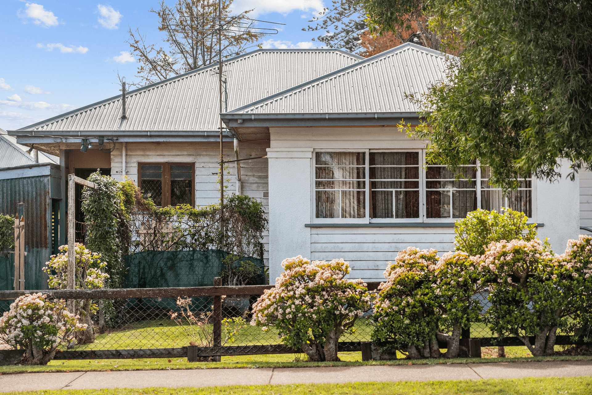 19 Curzon Street, Mount Lofty, QLD 4350