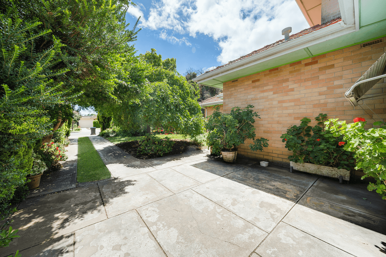 11 Amanda Avenue, FINDON, SA 5023