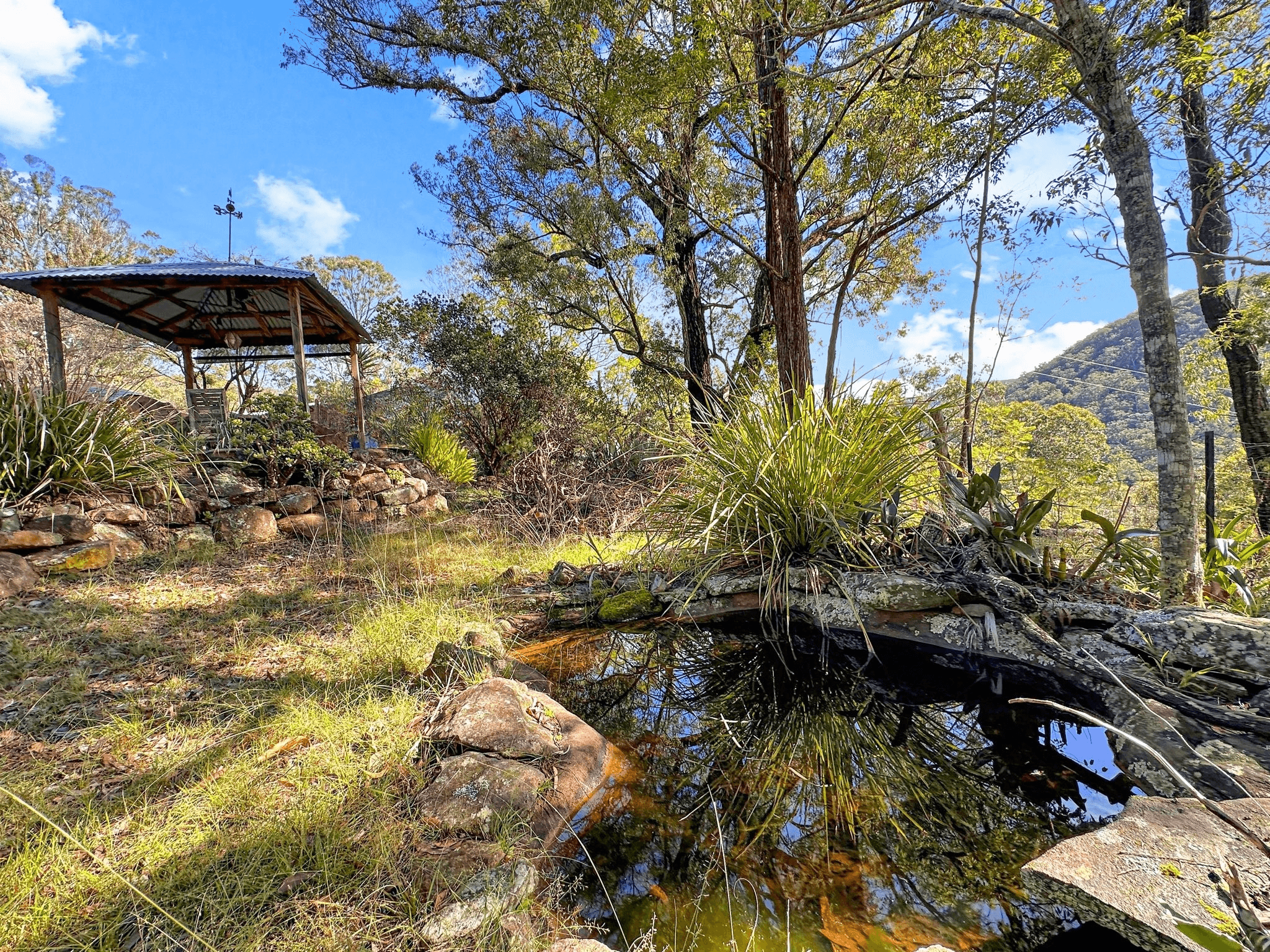 2127 Wollombi Road, Sweetmans Creek, NSW 2325