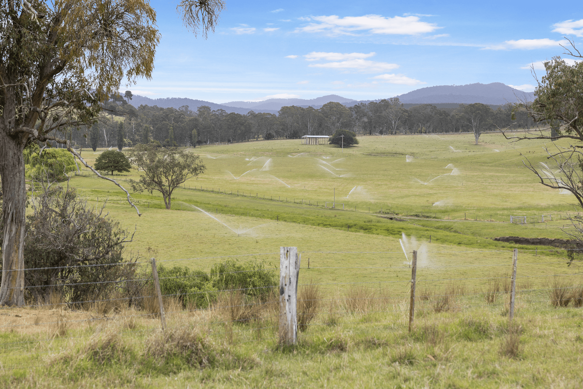 3170 Bairnsdale-Dargo Road, Glenaladale, VIC 3864