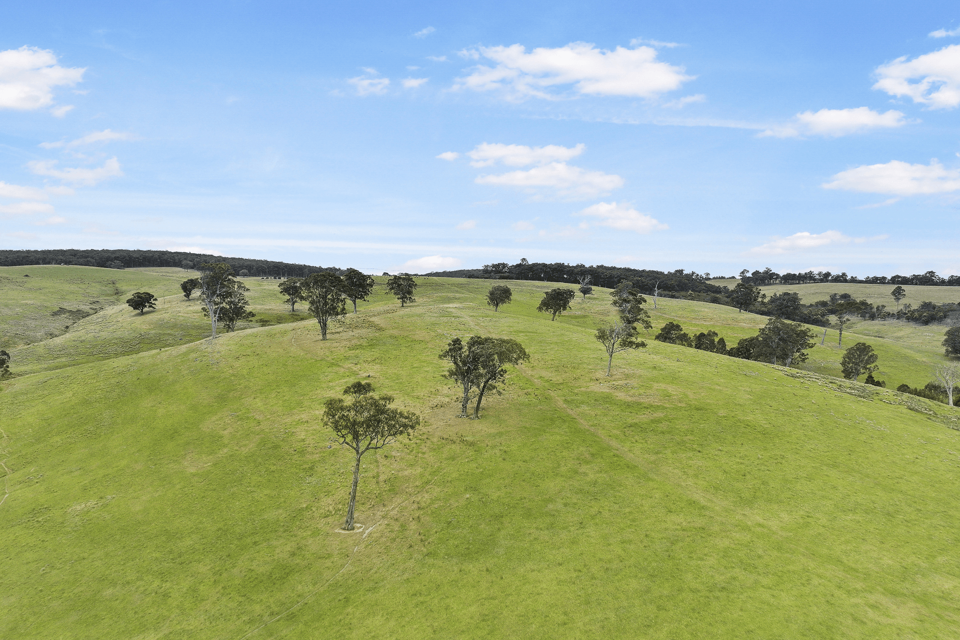 3170 Bairnsdale-Dargo Road, Glenaladale, VIC 3864