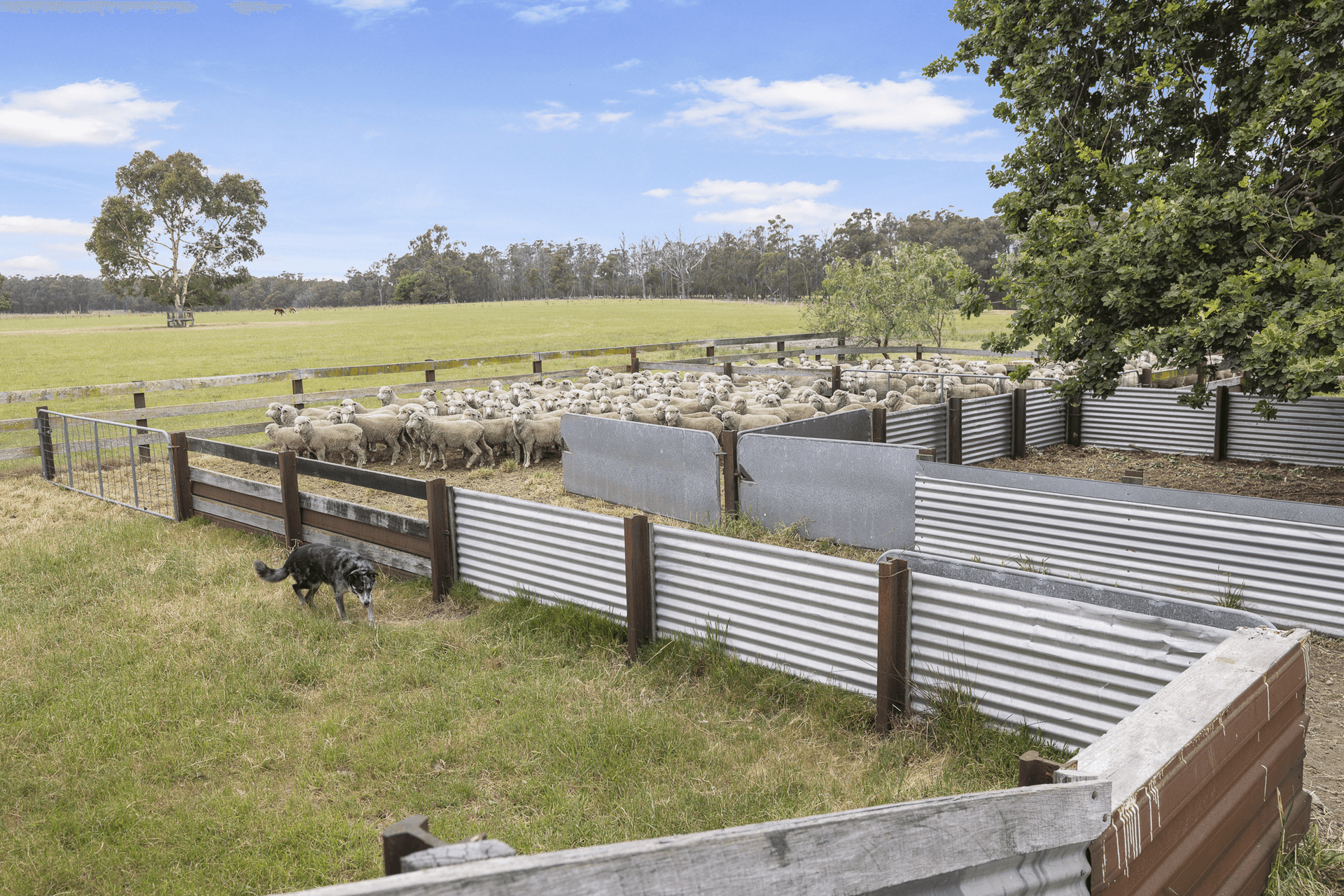 3170 Bairnsdale-Dargo Road, Glenaladale, VIC 3864