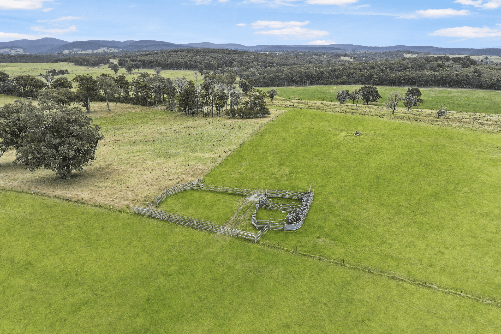 3170 Bairnsdale-Dargo Road, Glenaladale, VIC 3864