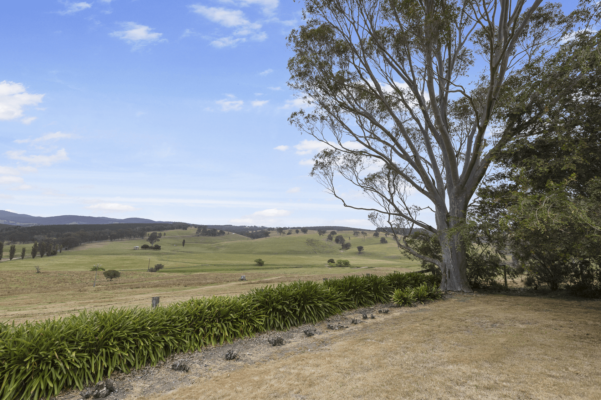 3170 Bairnsdale-Dargo Road, Glenaladale, VIC 3864